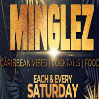 MINGLEZ ... CARIBBEAN PARTY